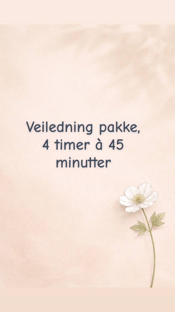 Veiledning pakke, 4 timer a 45 minutter