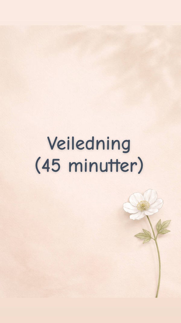 Veiledning (45 minutter)