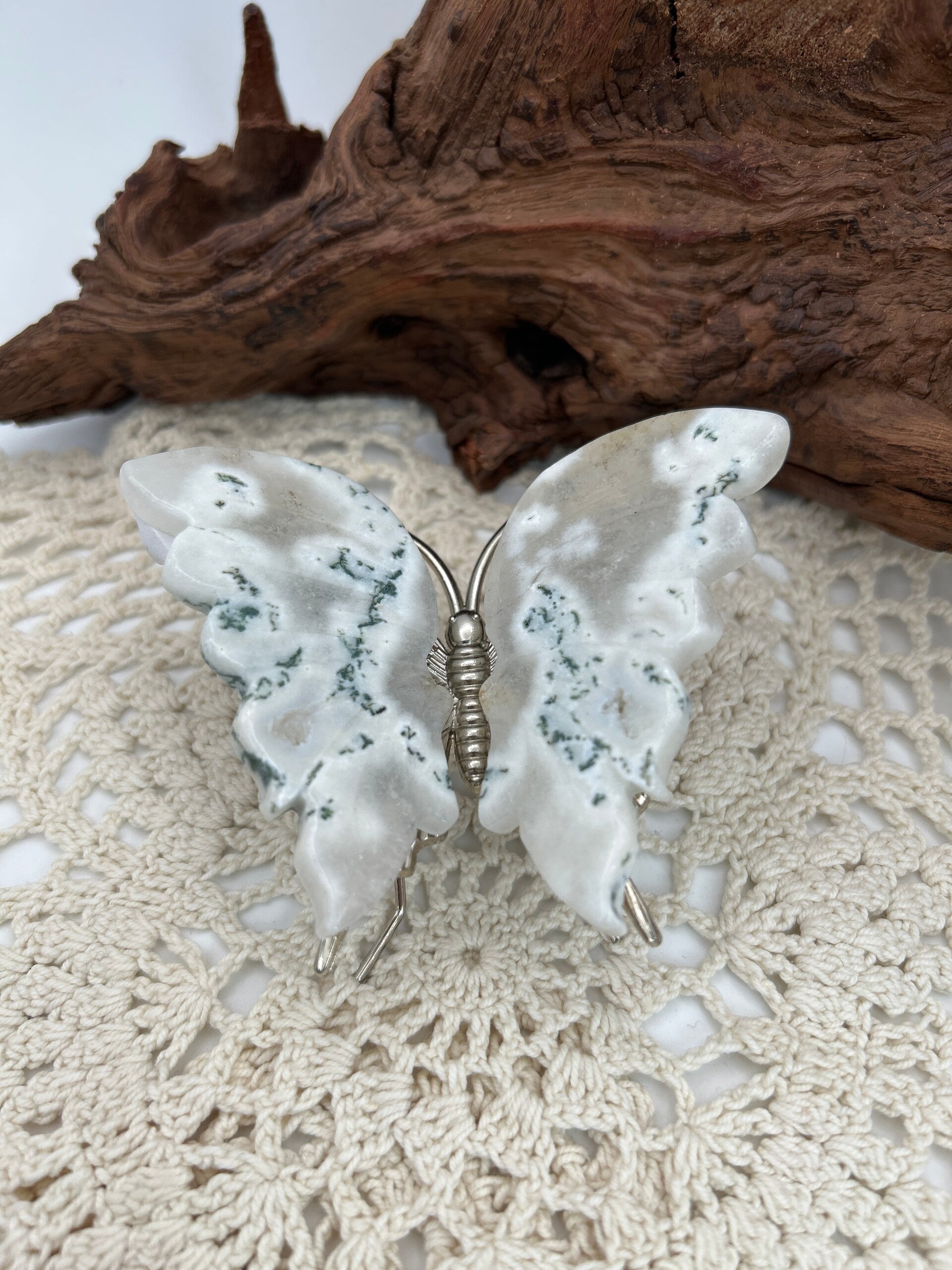 Moosachat Schmetterling