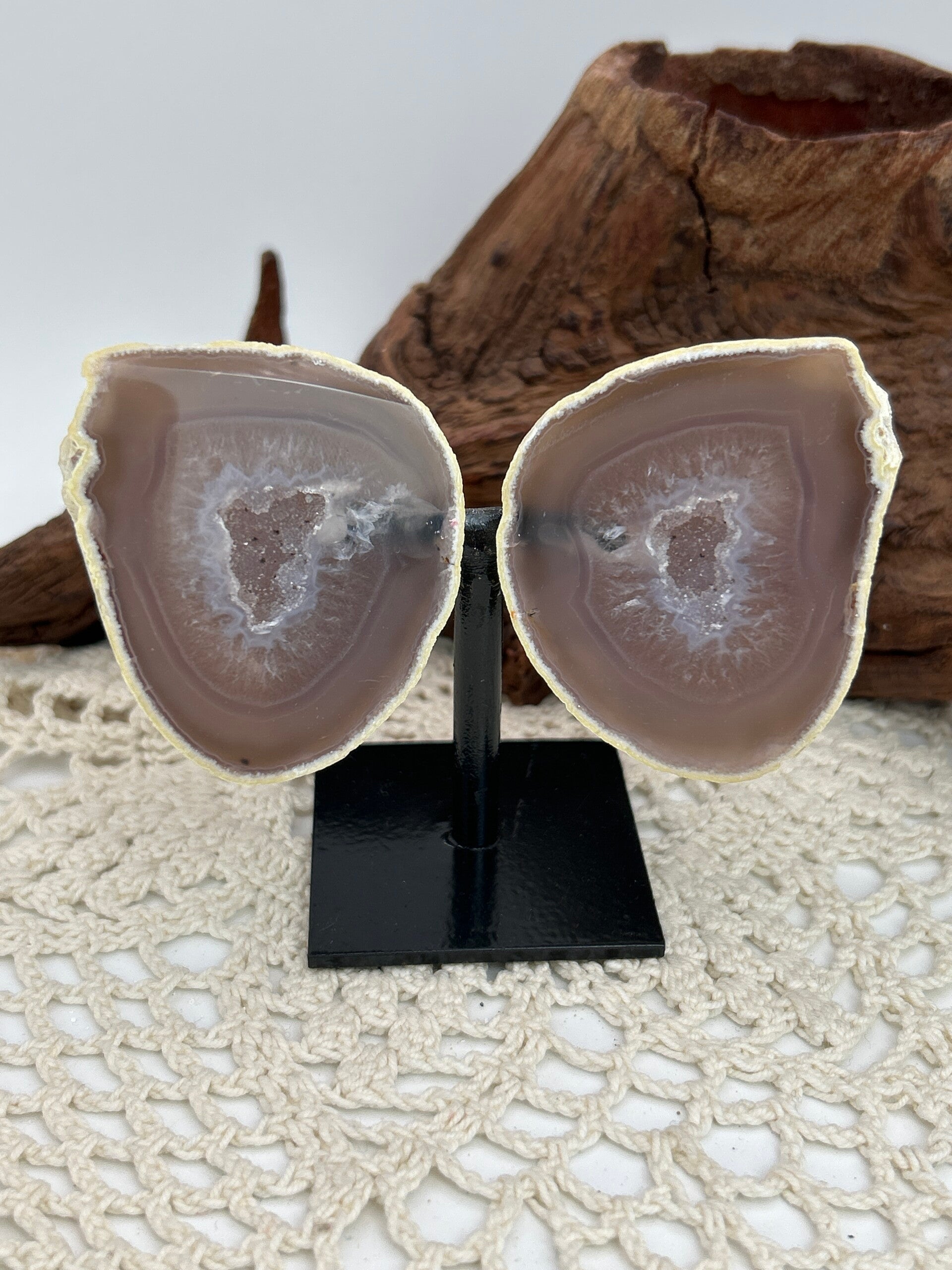 Achat Schmetterling