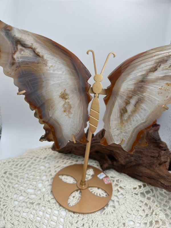 Achat Schmetterling
