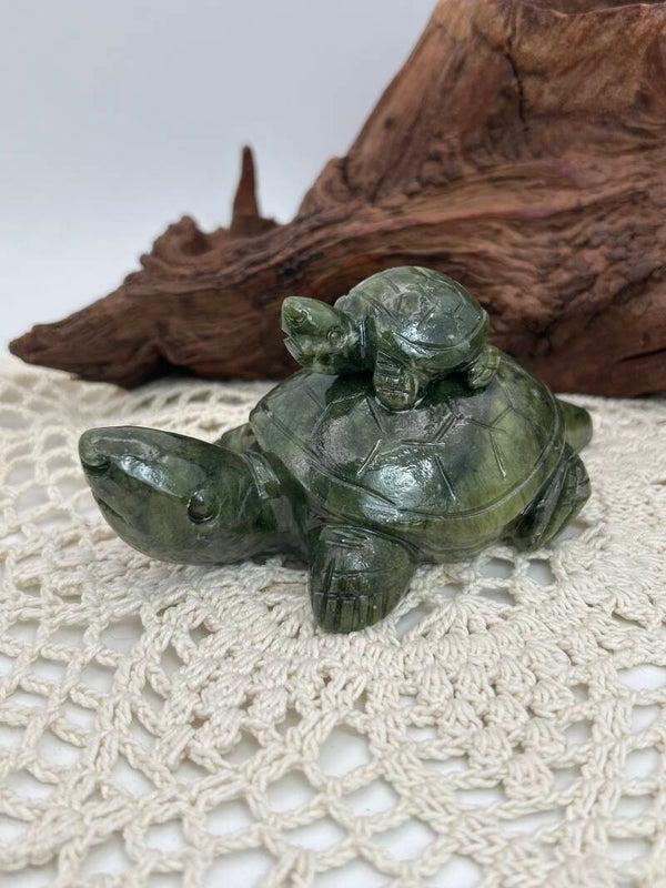 Jade Schildkröten