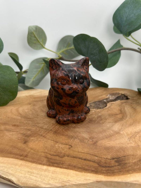 Mahagoni Obsidian Katze