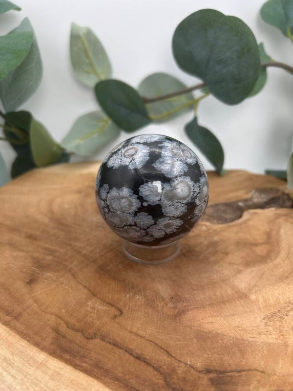 Schneeflocken Obsidian