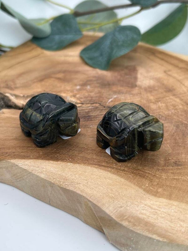 Blaue Tigerauge Schildkröte
