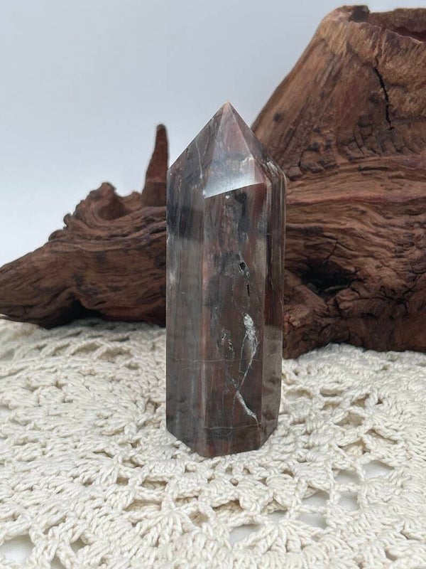 Versteinertes Holz