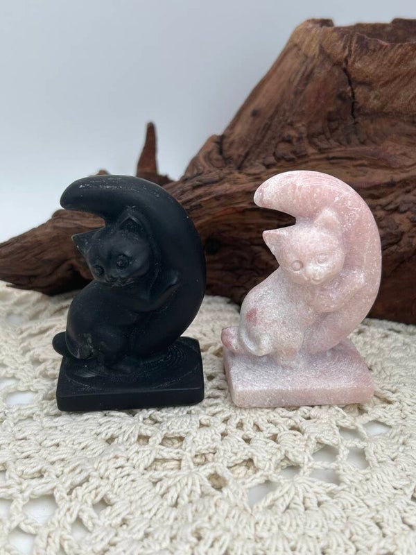 Katzen Carvings