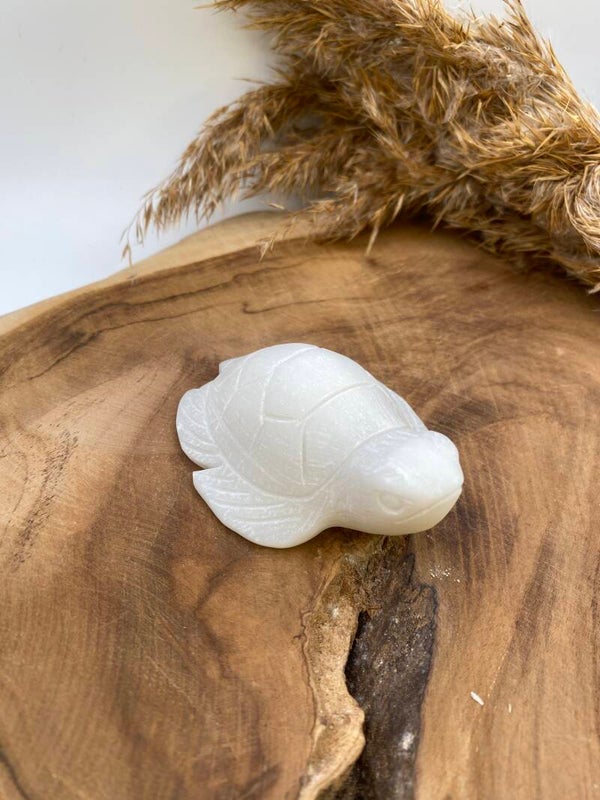 Weiße Jade Schildkröte