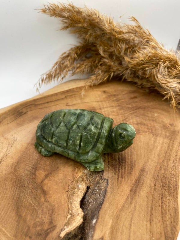Jade Schildkröte