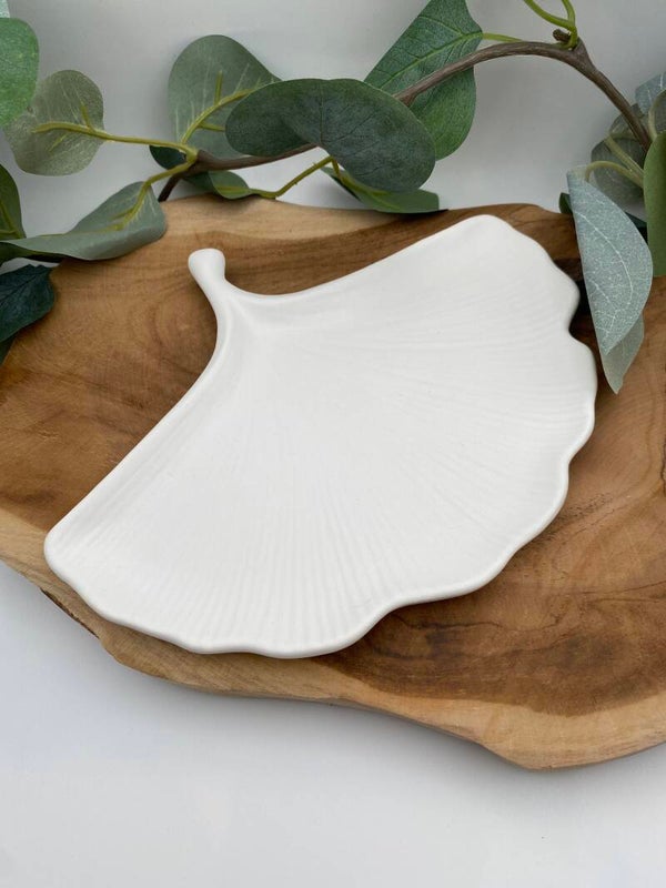 Ginkgo Schale