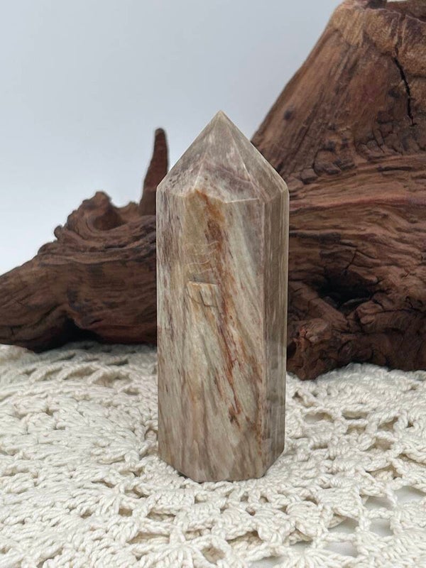 Versteinerter Holz Turm