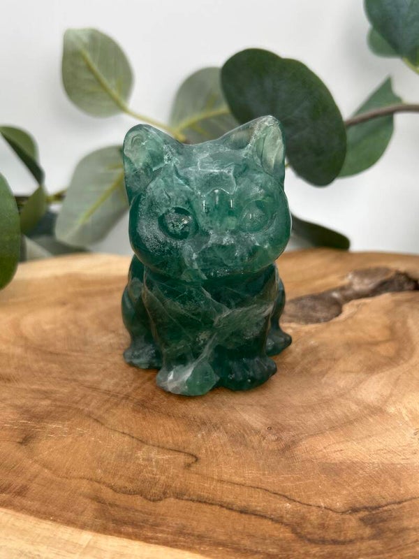 HQ Fluorit Katze