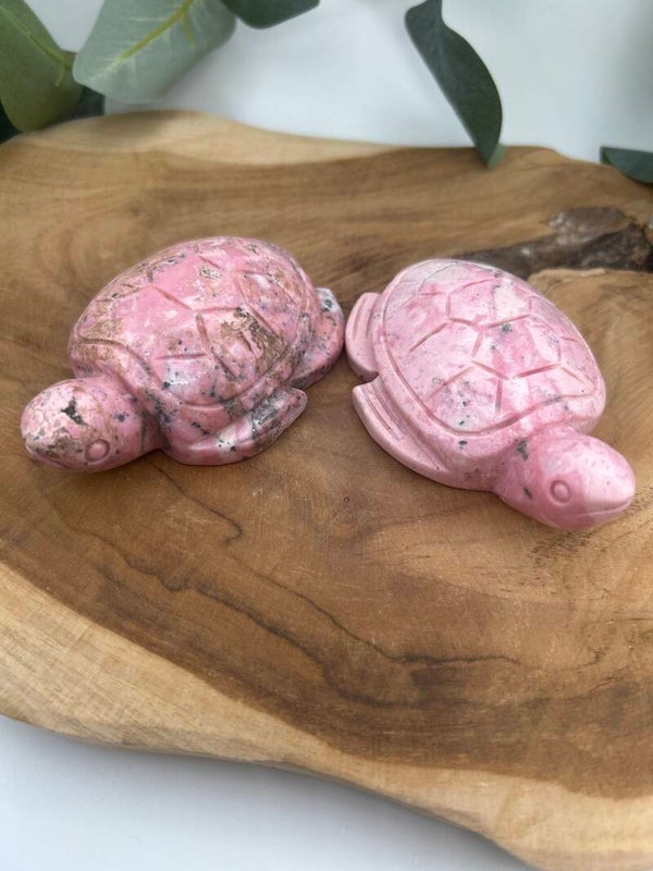 Rhodonit Schildkröten