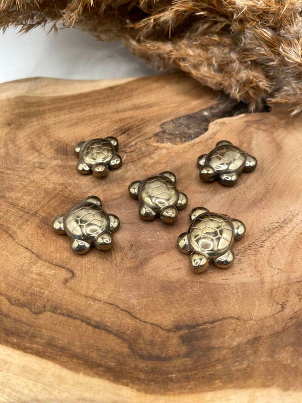 Pyrit Schildkröten