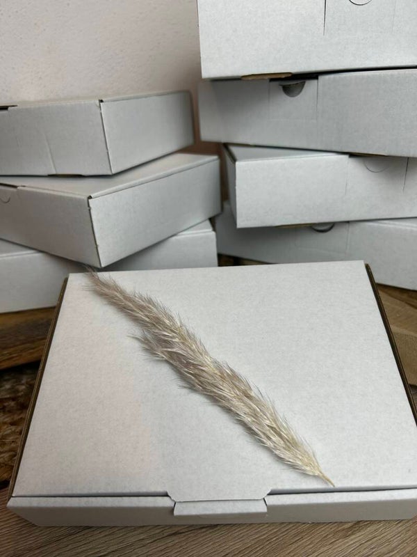 Mystery Boxen