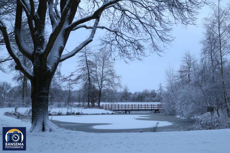 Zuiderpark in Hoogeveen, gehuld in een winterse deken