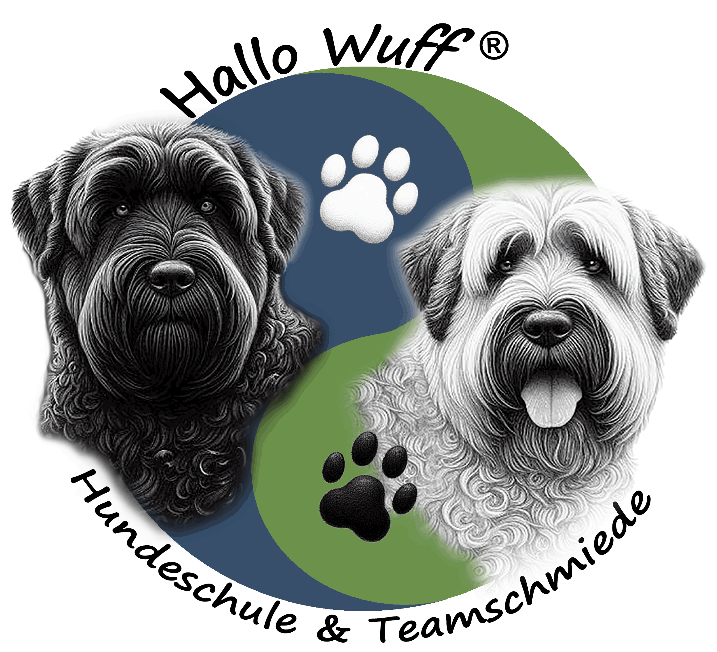 Hundetraining, Auslastung &amp; Beschäftigung in Balance - Saarlouis und Umgebung