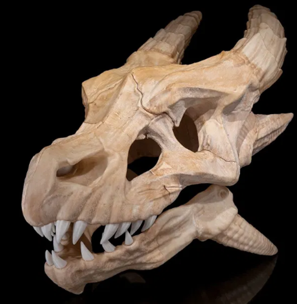 Epic Dragon Skull