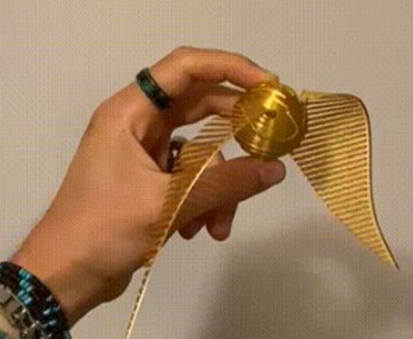 Golden snitch