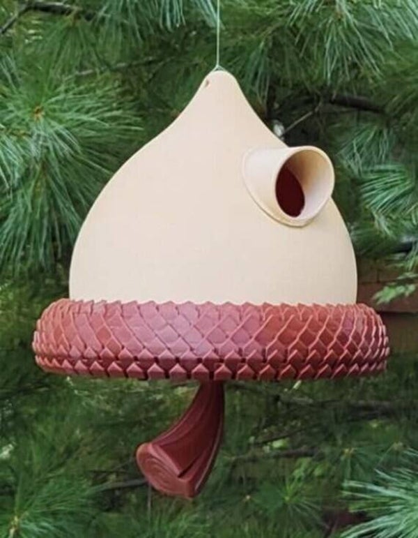 Giant Acorn