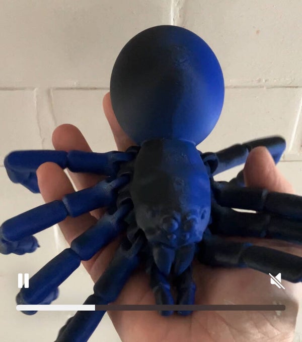 Flexy Tarantula