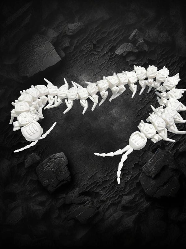Creepy & Kinetic:  Articulated Skeleton Centipede Fidget Toy