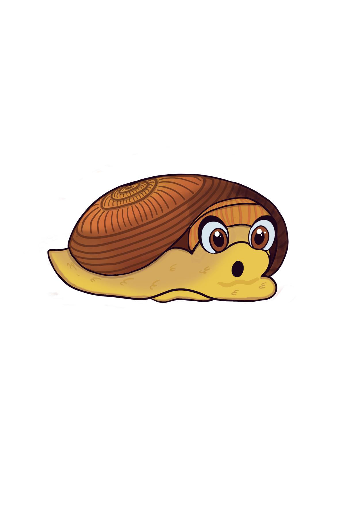 Shelly