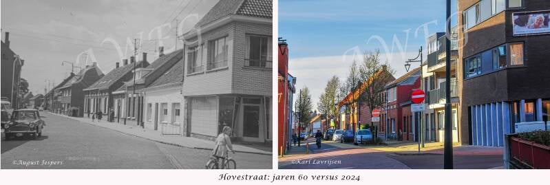hovestraat-standard.jpg