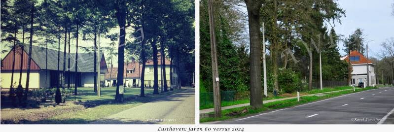 lusthoven_1-standard.jpg