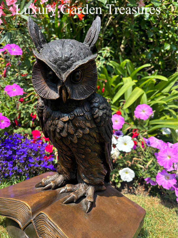 Bronze Owl standing on Books