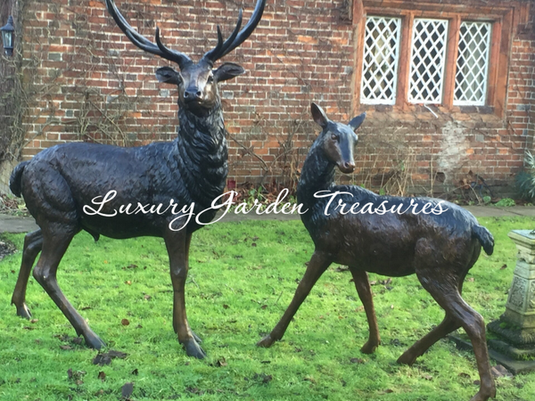 Bronze Stag & Doe