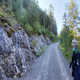 img-20250906-wa0018-standard.jpg