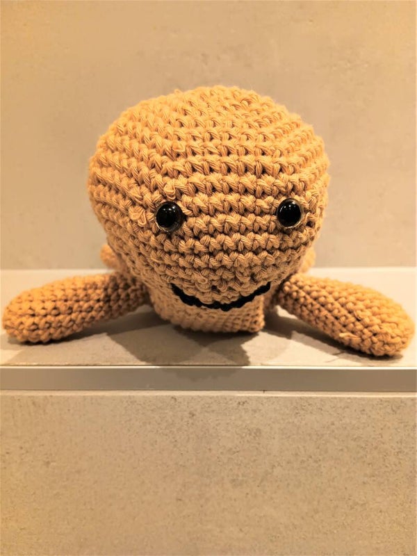 Schildkröte Susi
