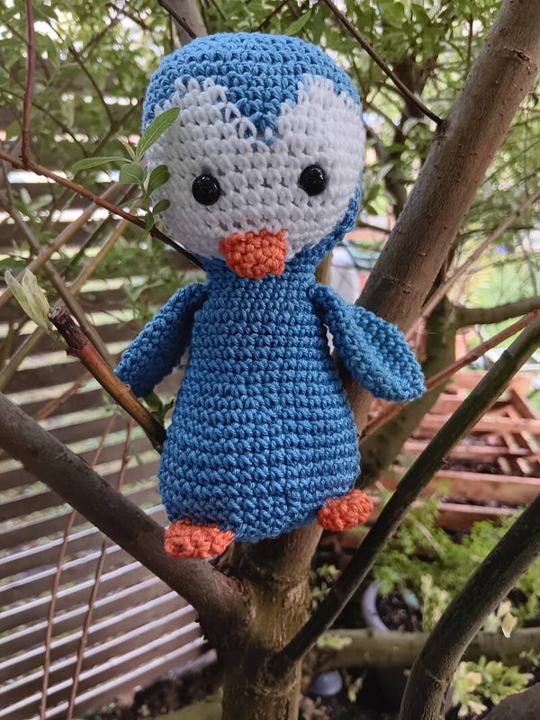 Pinguin