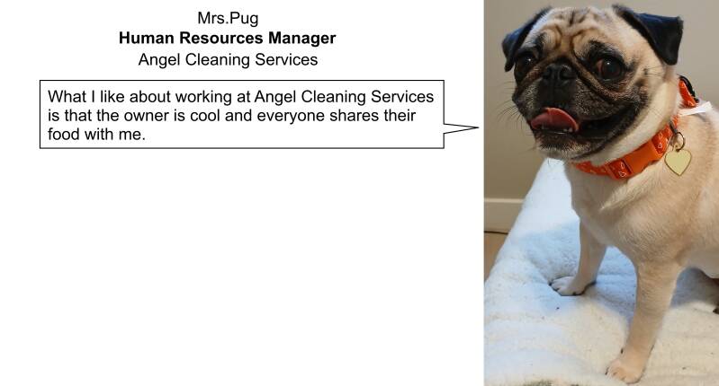 Janitorial Service, Commercial Carpet Cleaning, Hard Floor Cleaning and Waxing, Window Cleaning, Sacramento, Elk Grove