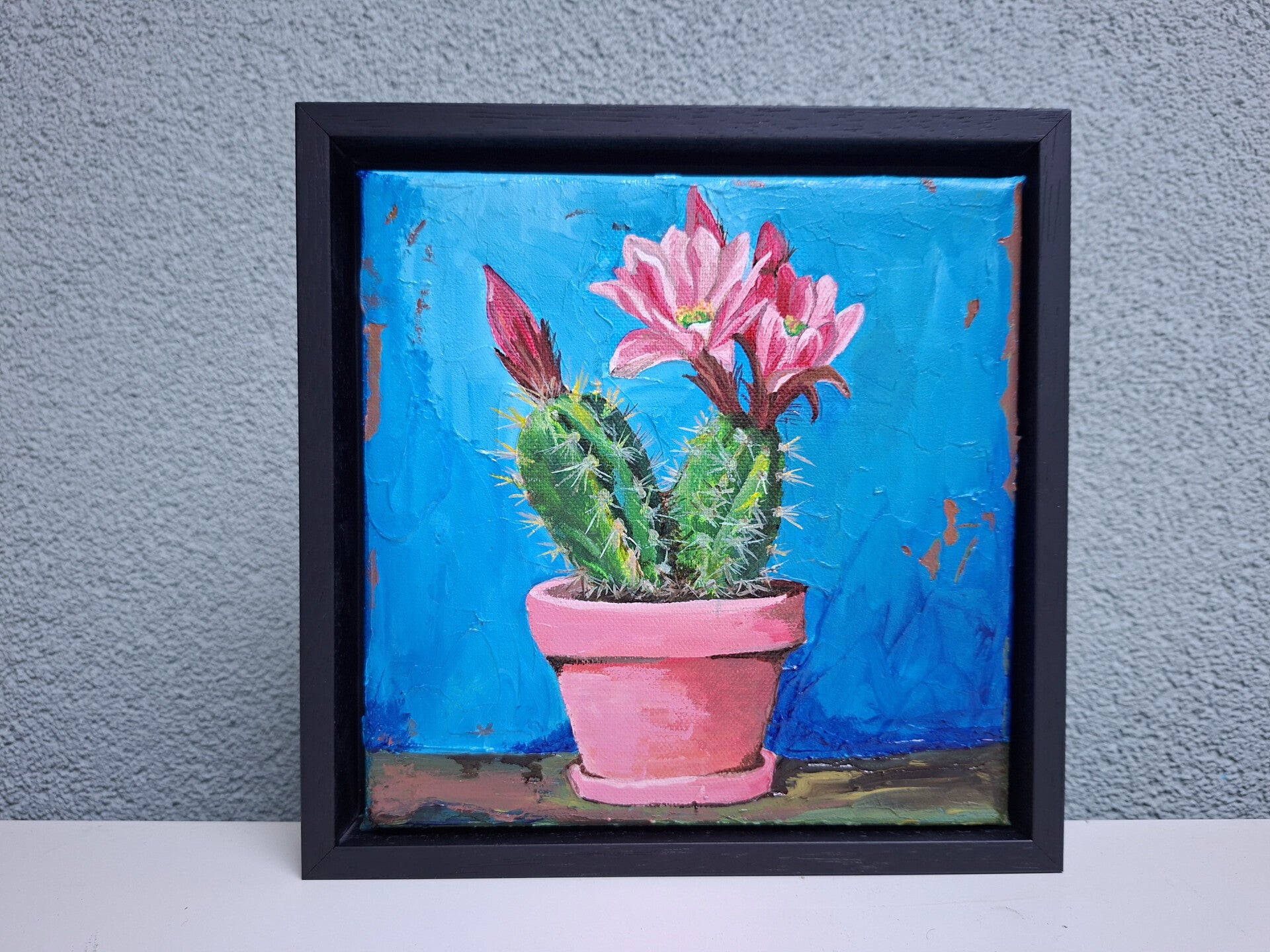 cactus roze