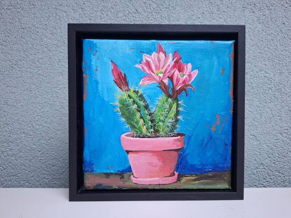 cactus roze