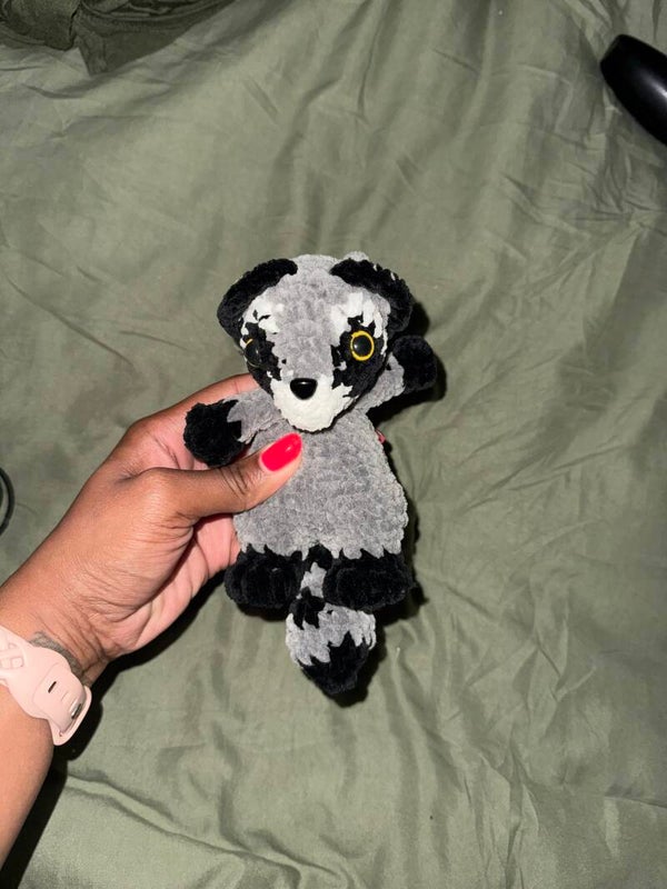 🦝Hanging Raccoon🦝