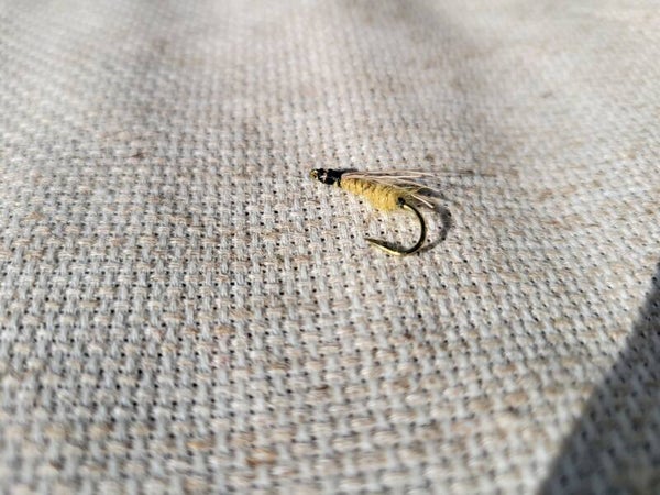 The Poor Mans Caddis