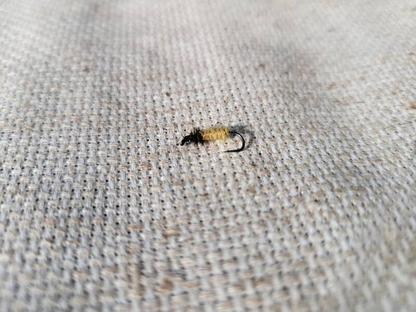 Rock Worm