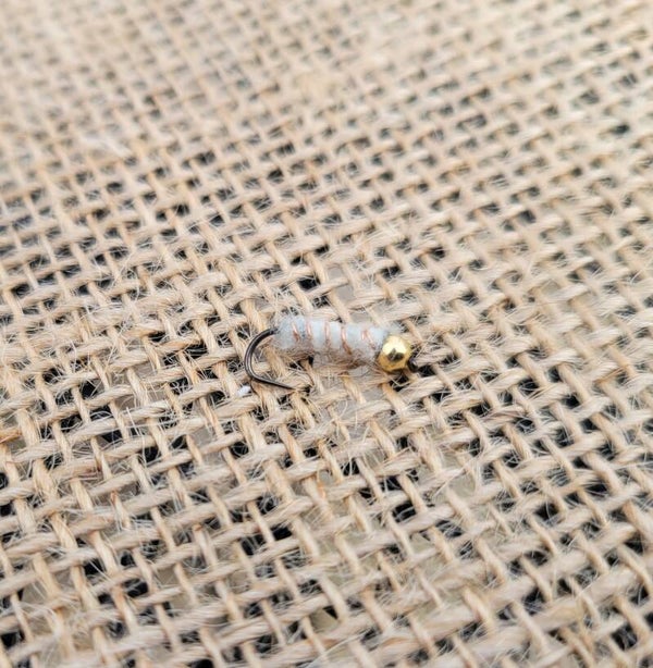 Angel Rock Worm