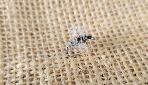 The Griffiths Gnat