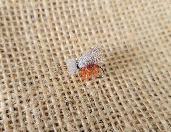 The Elk Hair Caddis