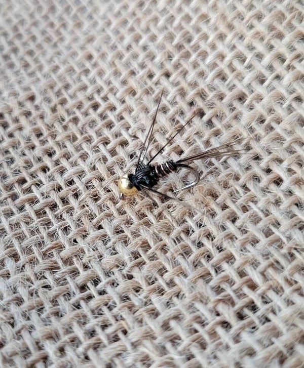 Pheasant Tail