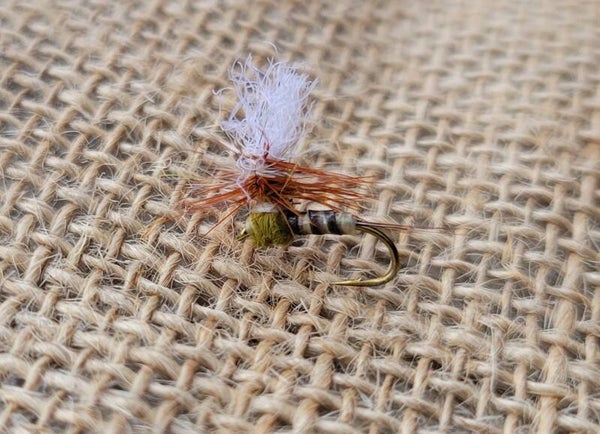 The Parachute BWO