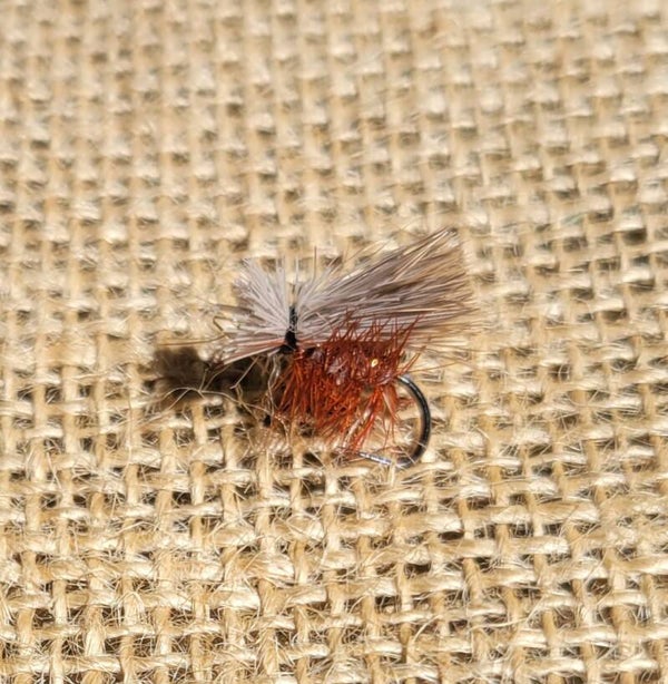 The Elk Hair Caddis