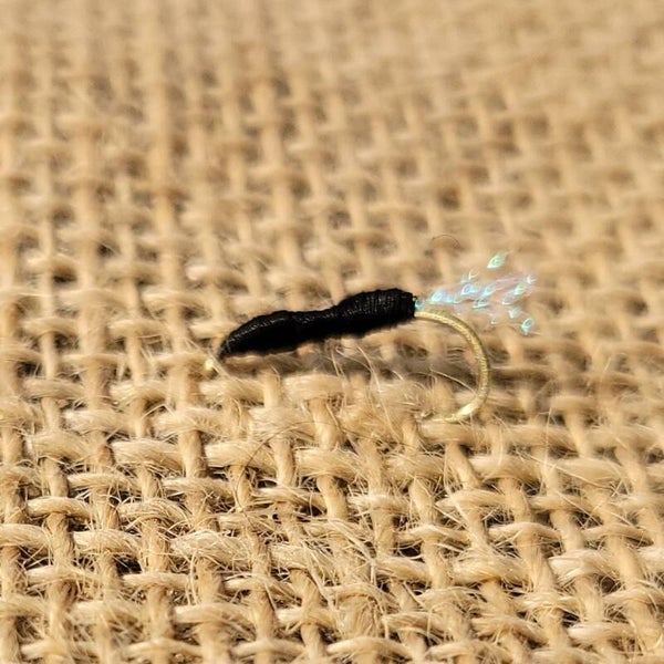 The Sunken Ant