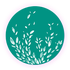 Reiki et réflexologie Herve