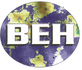BEH ELECTRICAL Ltd