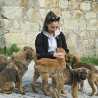 Junge Frau sitzt liebevoll zwischen verspielten Welpen – eine berührende Szene über Verbundenheit und Tierliebe aus Emmas Tagebuch.